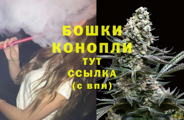 сатива Михайловка