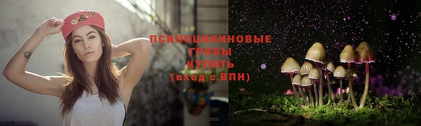 скорость Михайлов