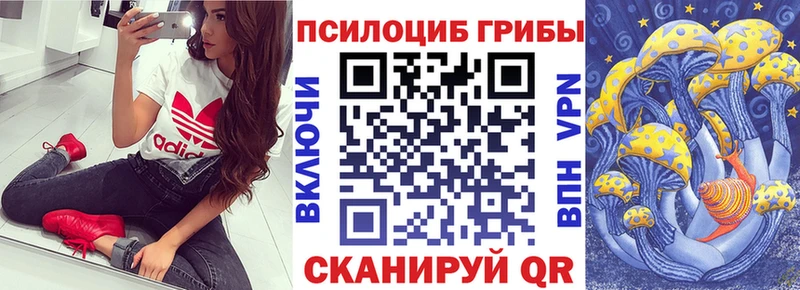 где продают наркотики  Белый  Галлюциногенные грибы мухоморы 